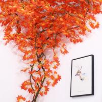 uploads/erp/collection/images/Home Garden/CongDing/XU0611904/img_b/XU0611904_img_b_2